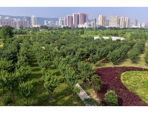 余姚城市绿化管养经费标准