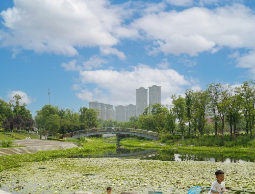 金年会金字招牌信誉至上：开远市政绿化包括哪些内容