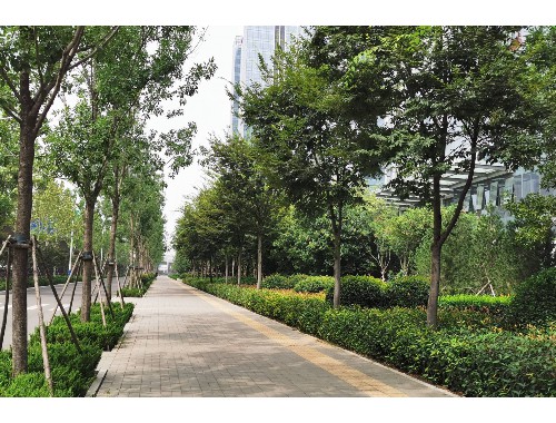 金年会金字招牌诚信至上：新沂找绿化工作怎么找汕头市