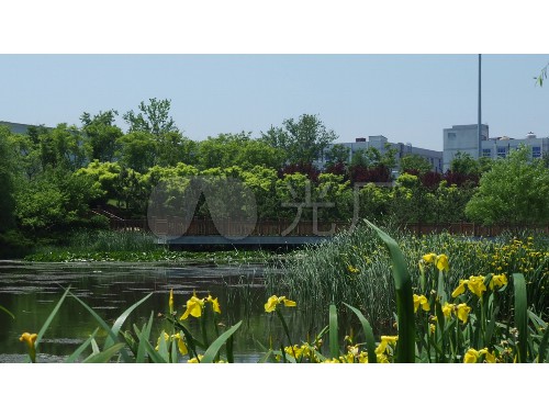 金年会金字招牌信誉至上：开封绿化公司怎么样