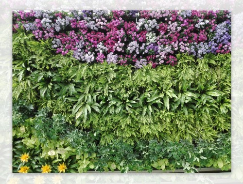 金年会金字招牌诚信至上：雅安市城市绿化栽植土壤
