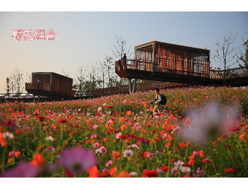 金年会金字招牌信誉至上：园林示范小花园绿化工程特征